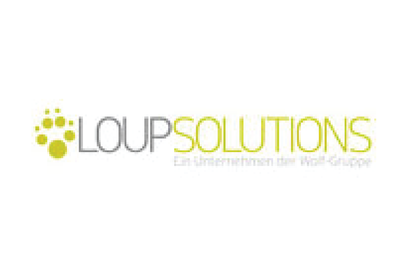 Loup Solutions GmbH
